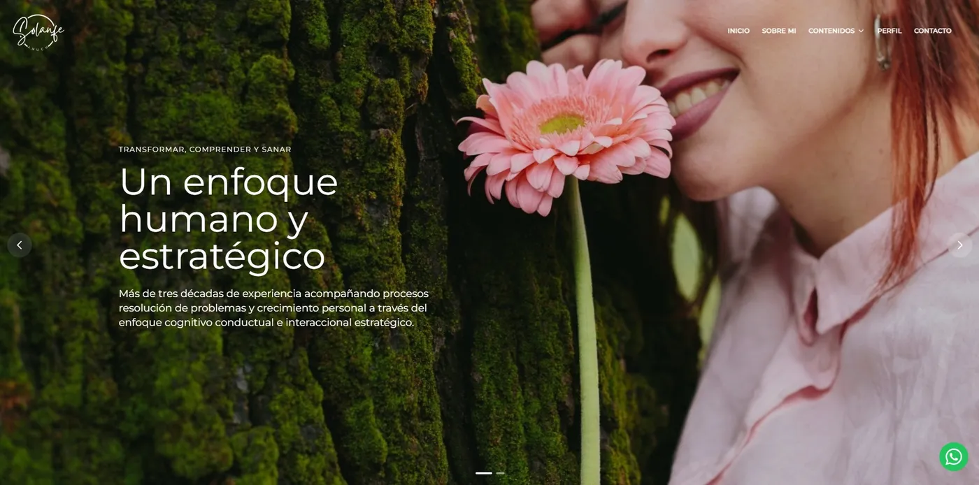 Pantallazo web 1